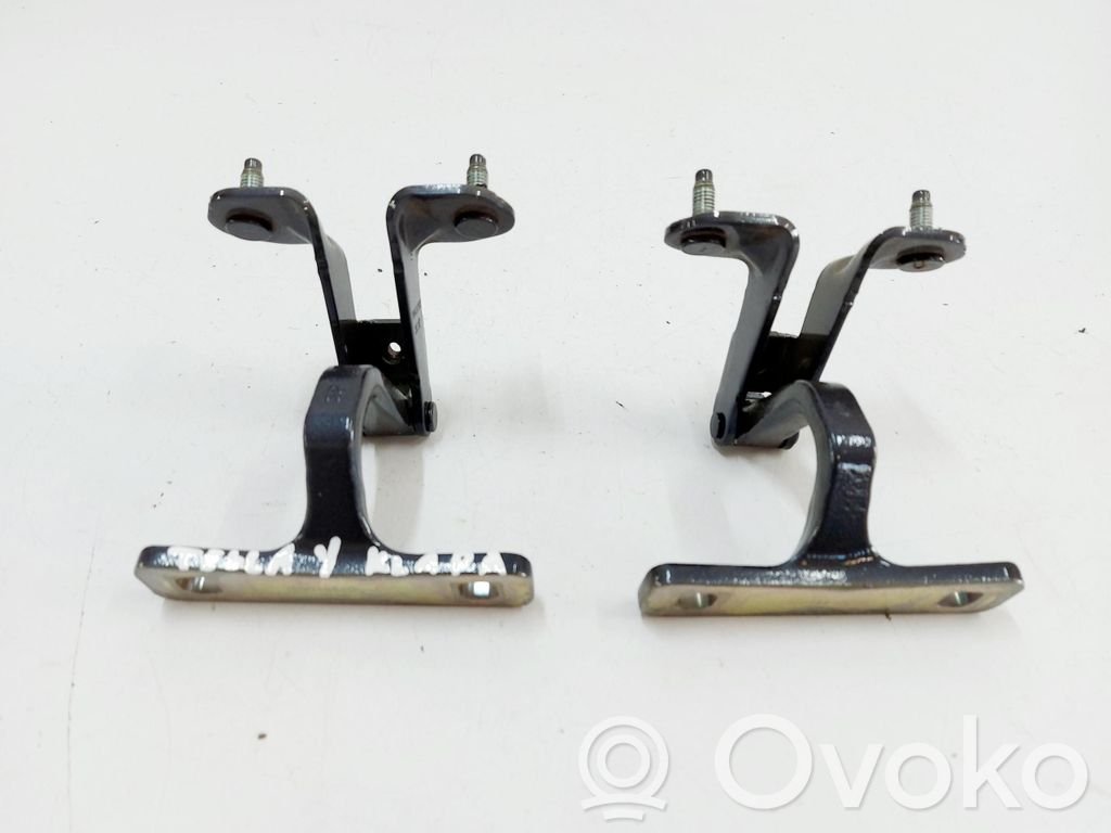 Tesla Model Y Tailgate/trunk/boot hinge 