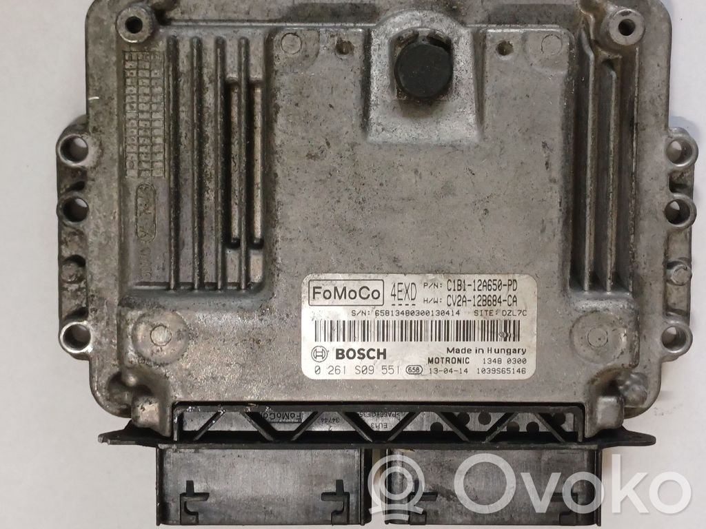 Ford Fiesta Engine control unit/module 