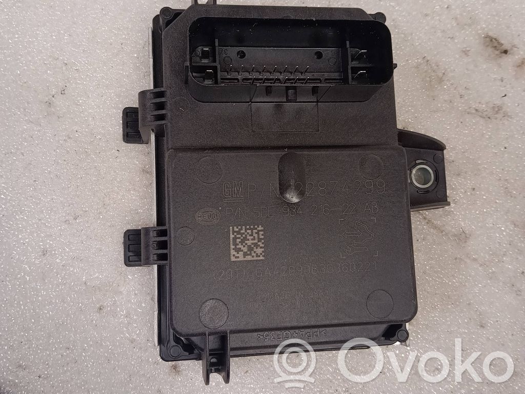 Chevrolet Volt I Fuel injection pump control unit/module 