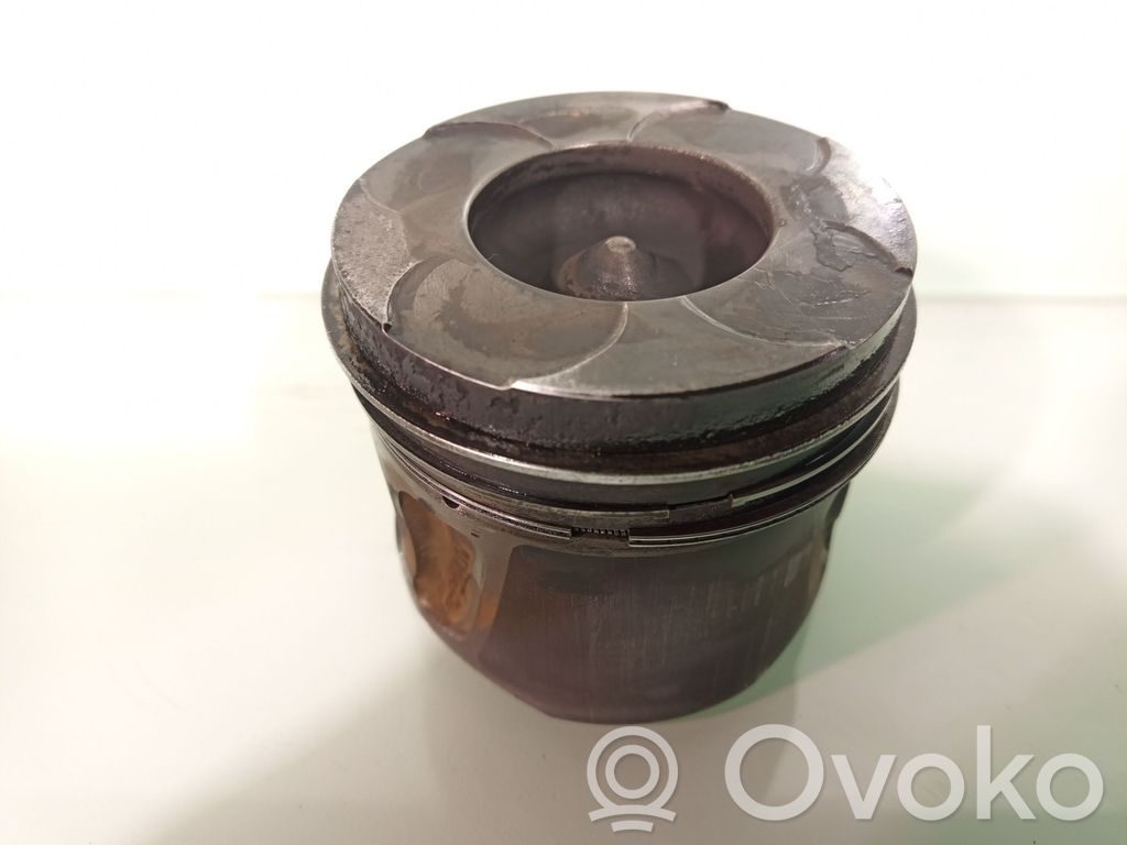 Piston   55565861