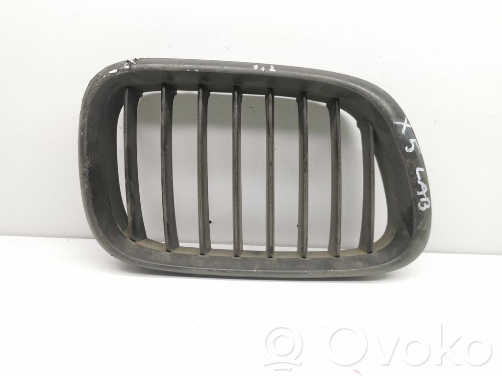 BMW X5 E53 Front grill 