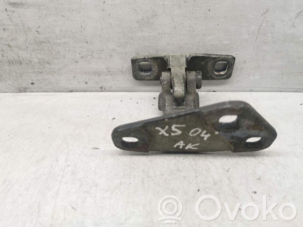 BMW X5 E53 Tailgate/trunk/boot hinge 