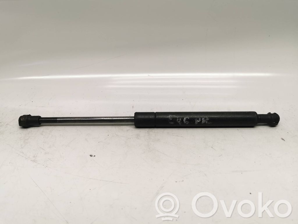 Front bonnet/hood damper/strut