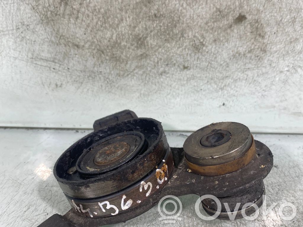 Audi A4 S4 B6 8E 8H Tensor de correa del alternador 