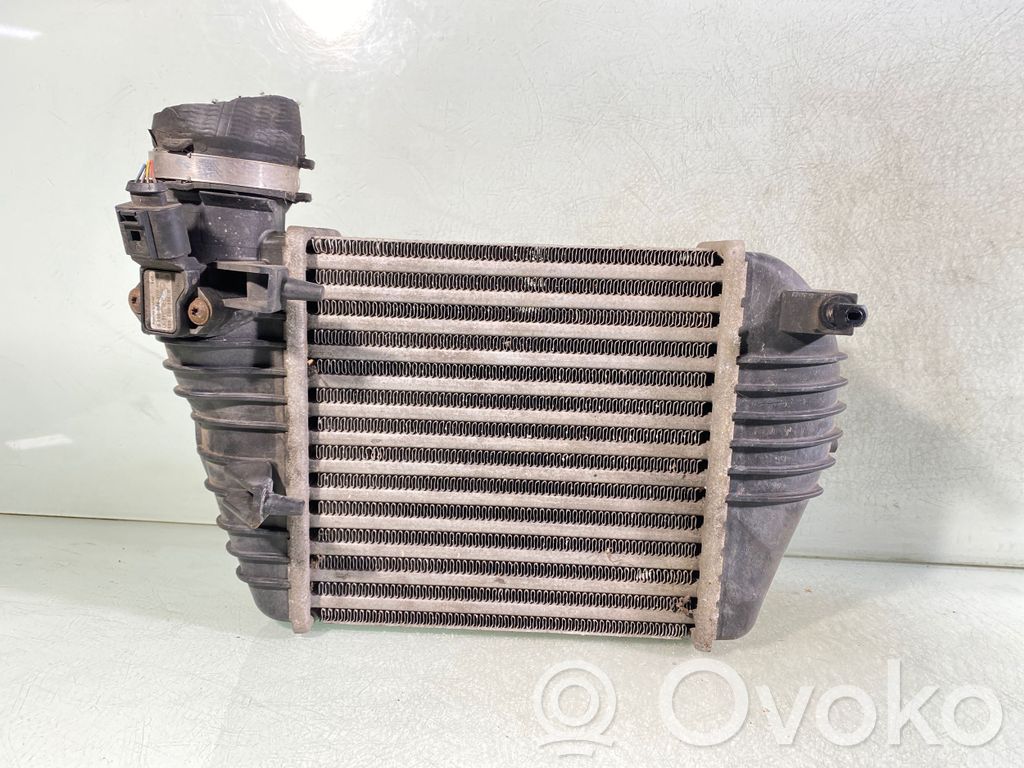 Audi A6 S6 C6 4F Interkūlerio radiatorius 