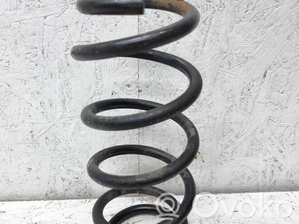 Rear coil spring