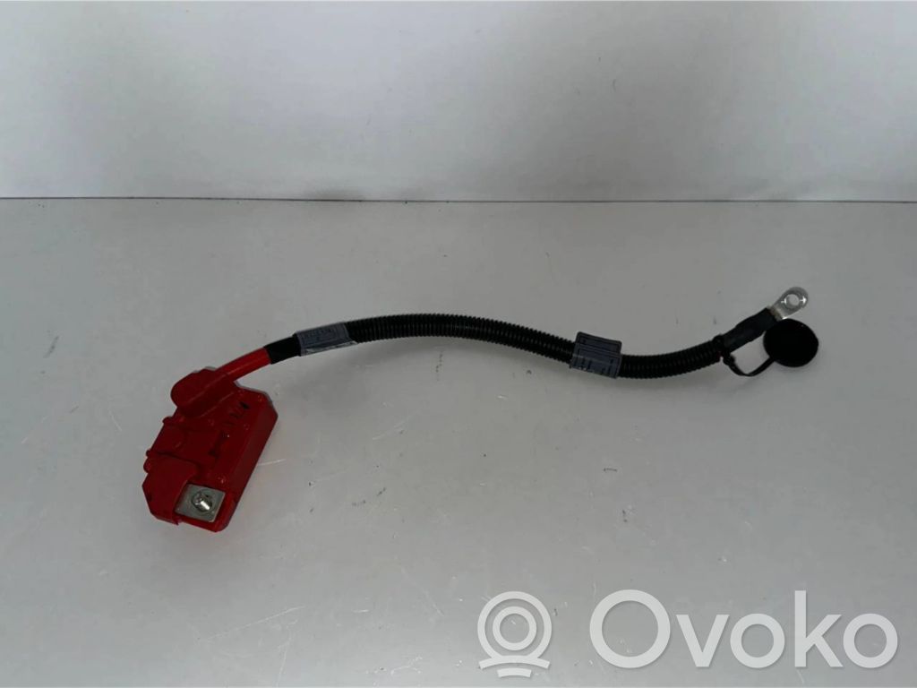 Plusa vads (akumulatora)   9115449,9115438