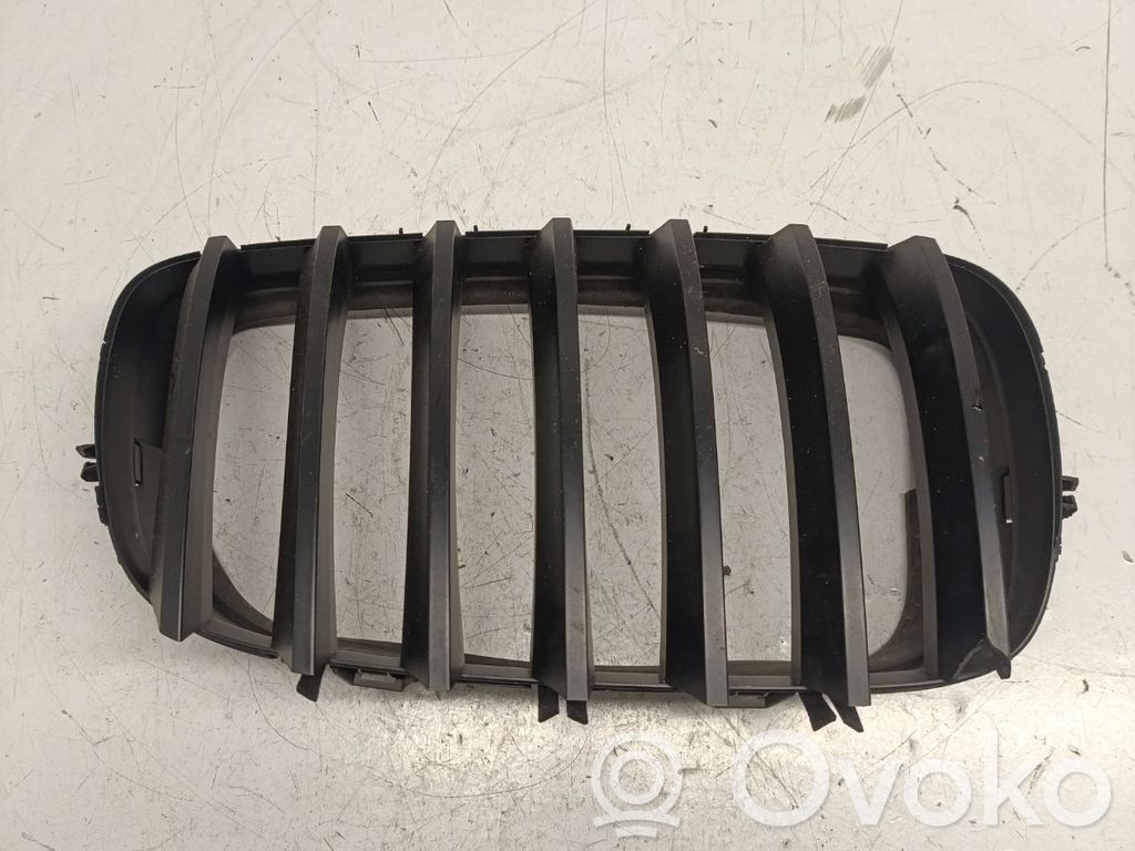 BMW X5 E70 Front bumper upper radiator grill 