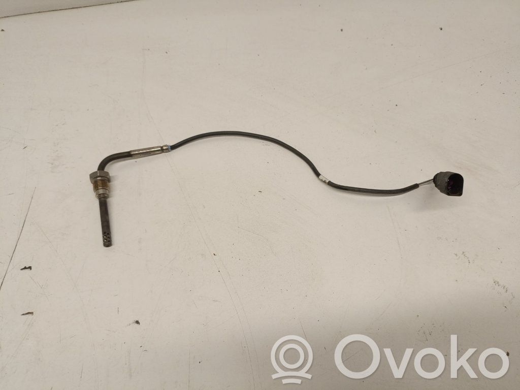 Seat Exeo (3R) Išmetamųjų dujų temperatūros daviklis 