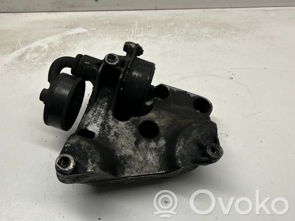 BMW 3 E46 Generatoriaus diržo įtempėjas 