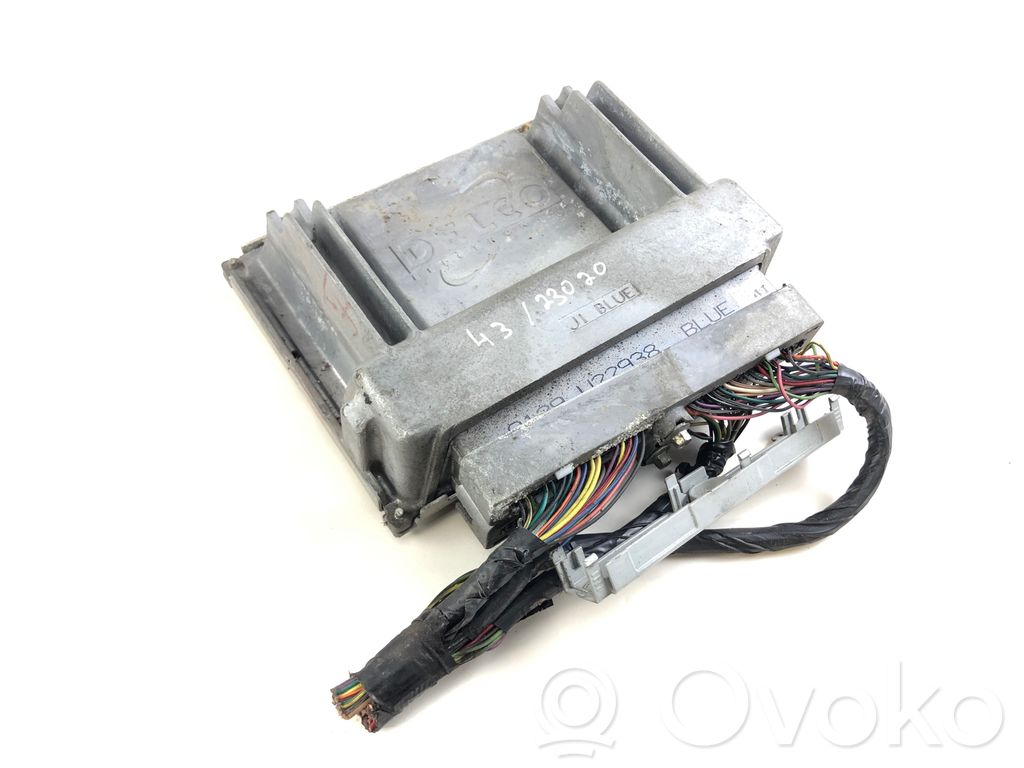 Chevrolet Trans Sport Engine control unit/module 