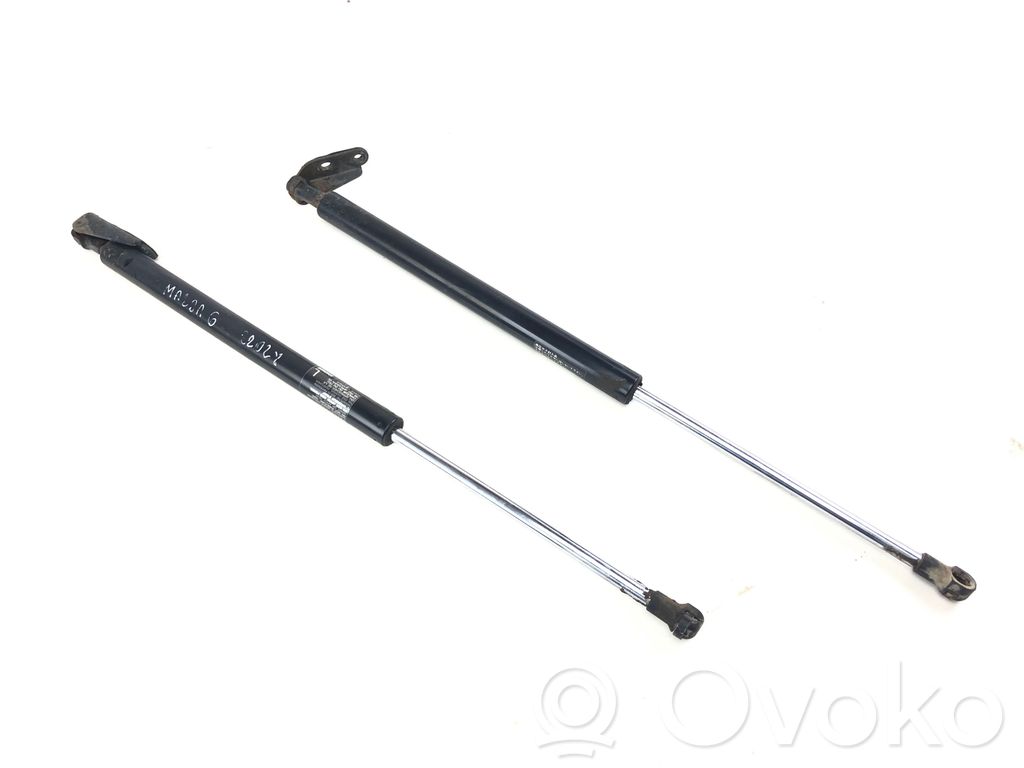 Tailgate/trunk strut/damper