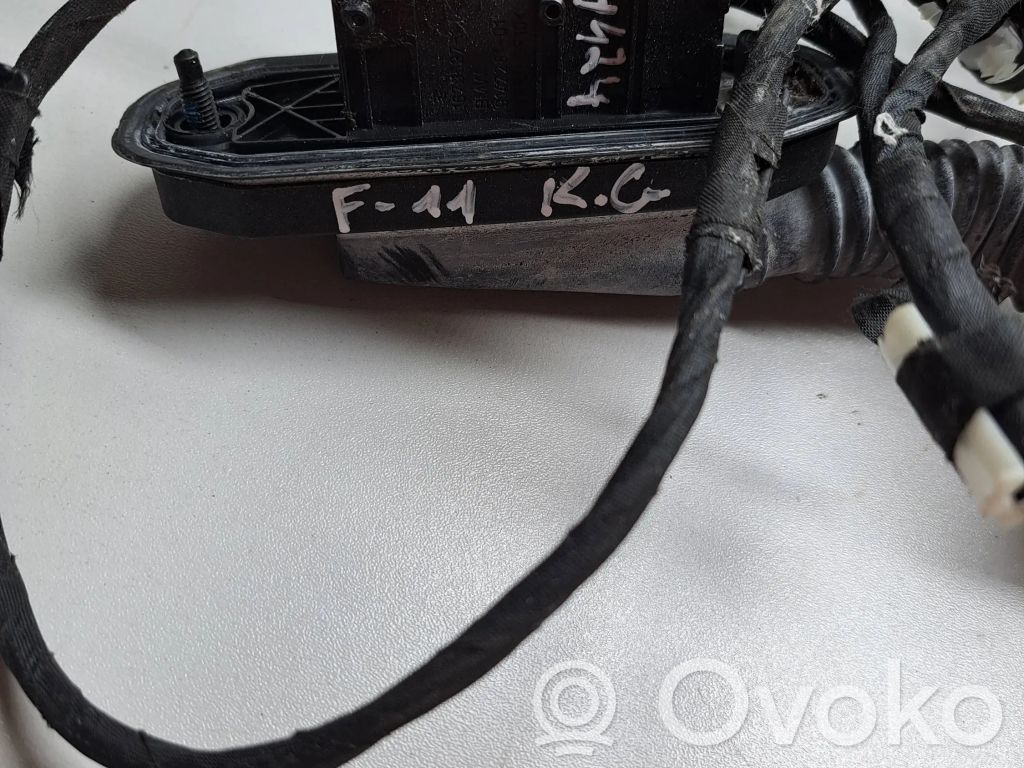 BMW 5 F10 F11 Wiązka przewodów drzwi tylnych 