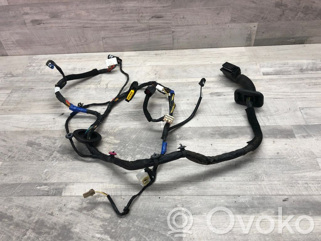 KIA Sorento Faisceau de câblage de porte avant 