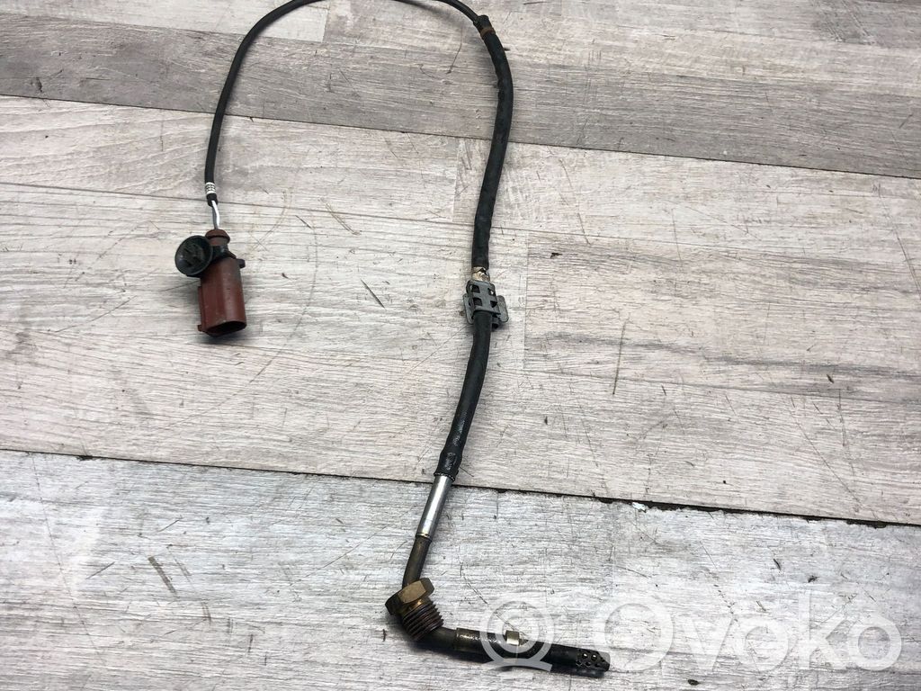 Volkswagen Tiguan Išmetamųjų dujų temperatūros daviklis 