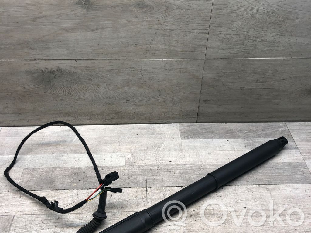BMW X5 E70 Tailgate/trunk strut/damper 