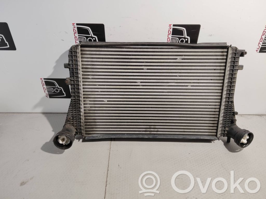 Volkswagen Golf VI Interkūlerio radiatorius 