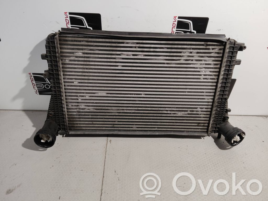 Volkswagen Golf Plus Interkūlerio radiatorius 