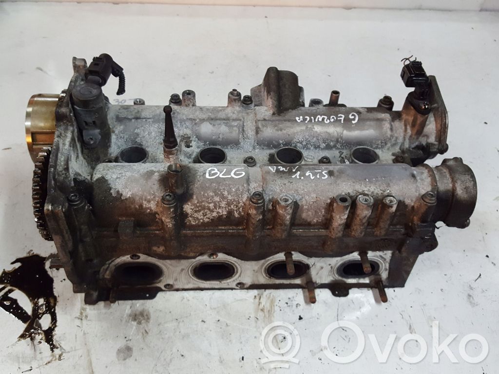 Volkswagen Golf V Galvutė 