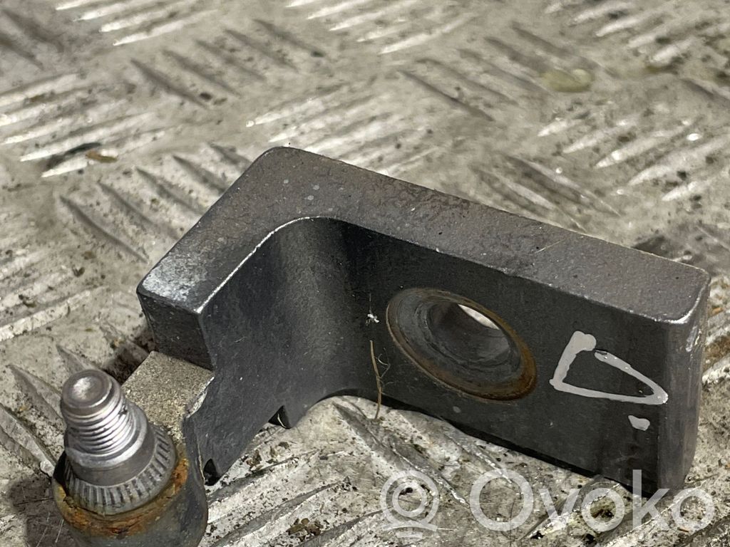 BMW X6 E71 Front door lower hinge 