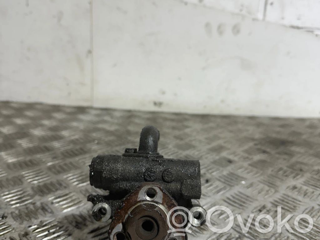 Volkswagen Golf IV Power steering pump 