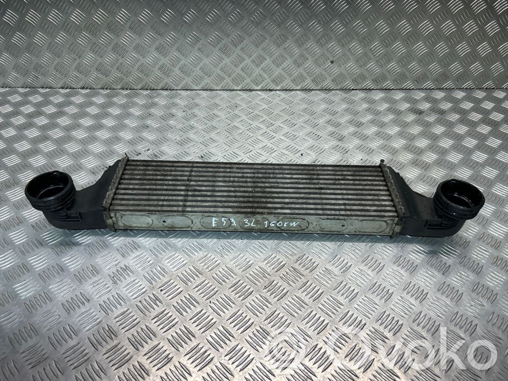 BMW X5 E53 Interkūlerio radiatorius 