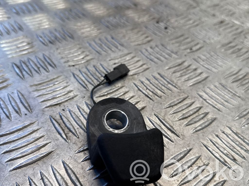 Tailgate glass/window release handle   9218995