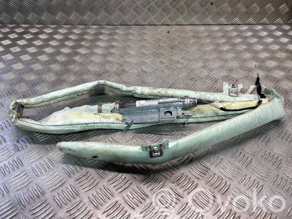 BMW X6 E71 Airbag del techo 