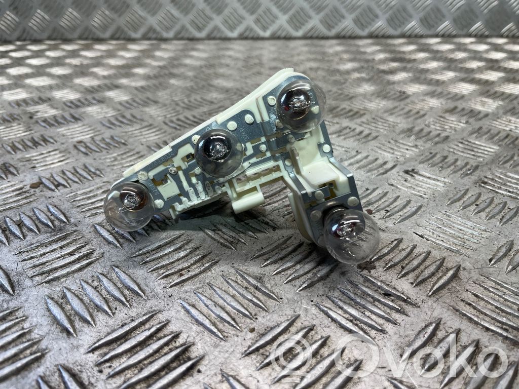 Tail light bulb cover holder   6937474