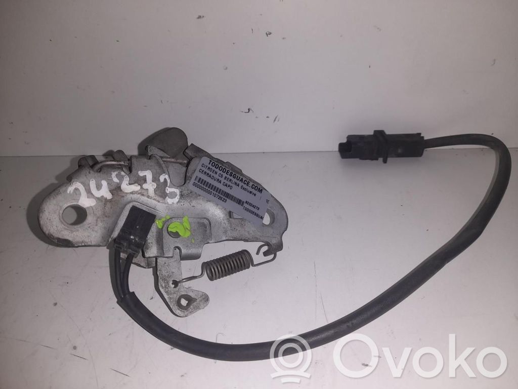 Tie down hook / loop   REFNODISP