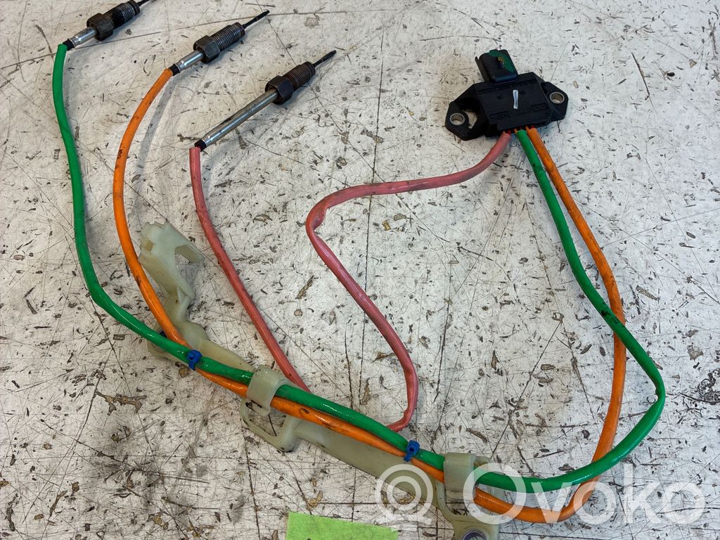 Renault Master III Abgastemperatursensor 