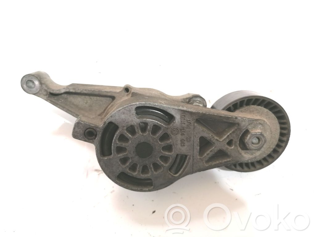 Volkswagen PASSAT B6 Napinacz paska alternatora 