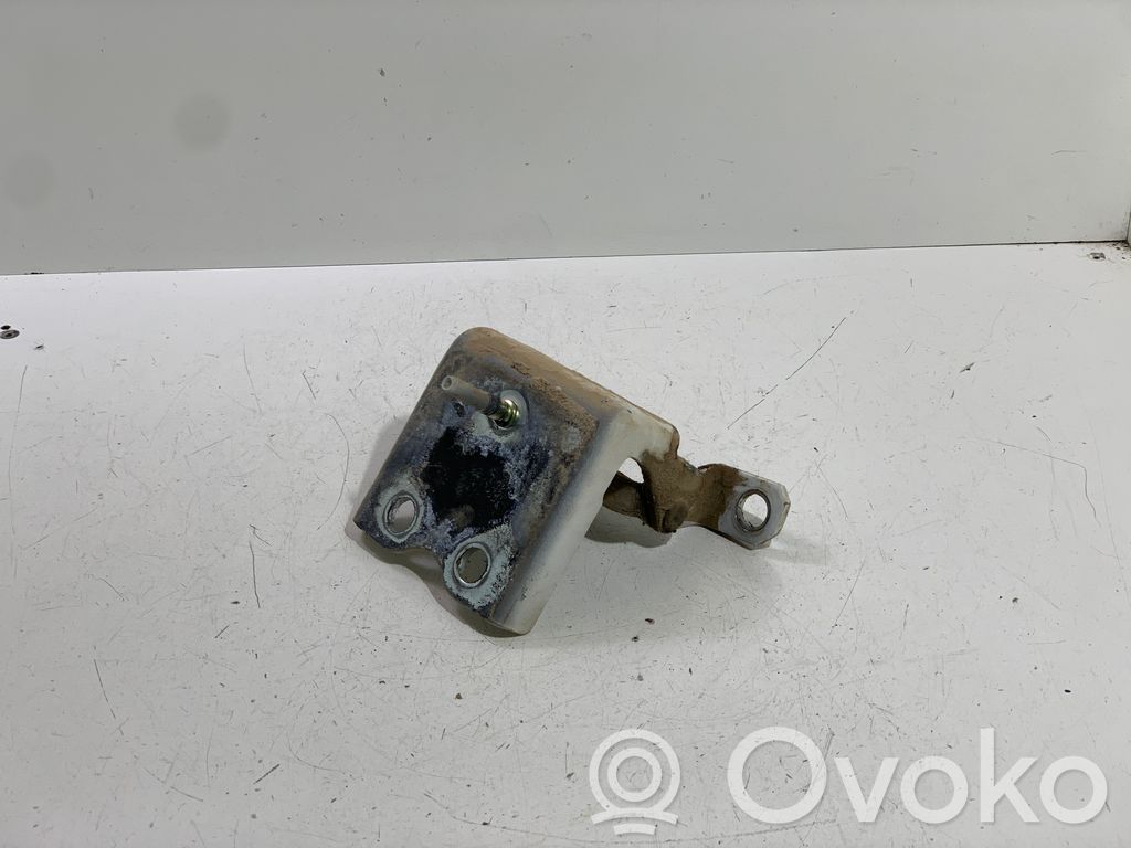 Renault Koleos I Rear door lower hinge 