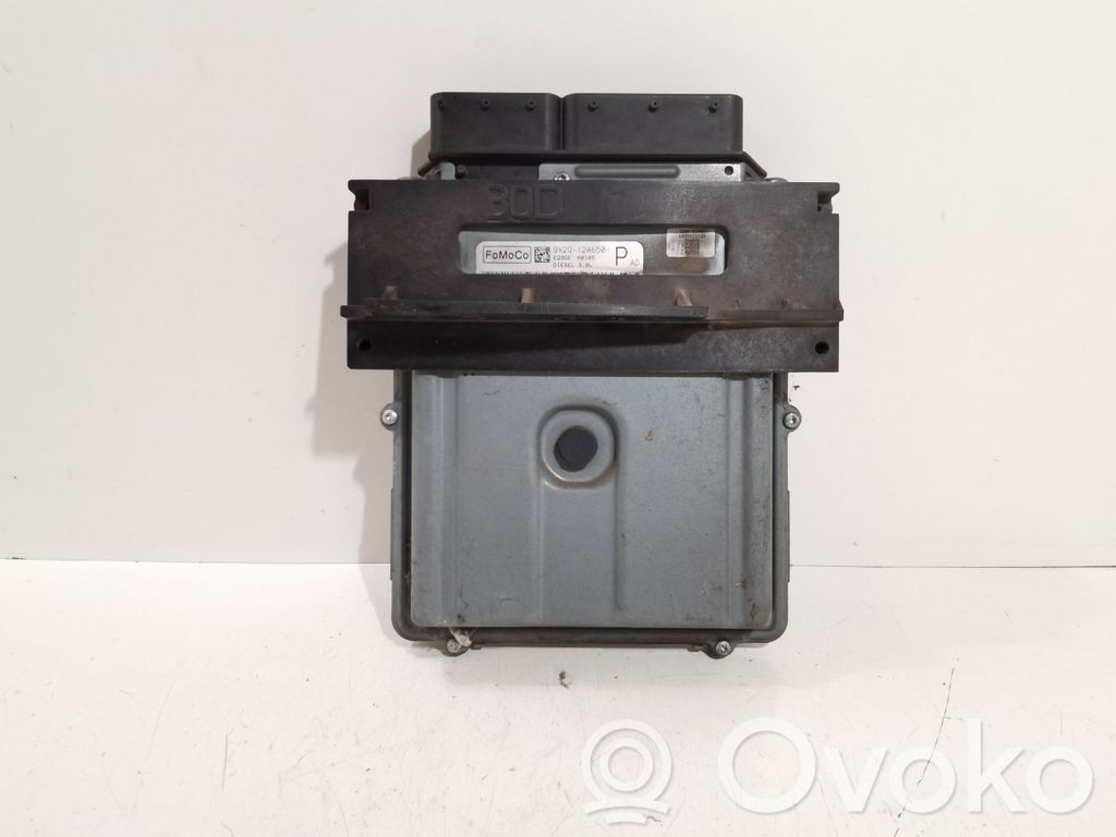 Jaguar XF X250 Engine control unit/module 