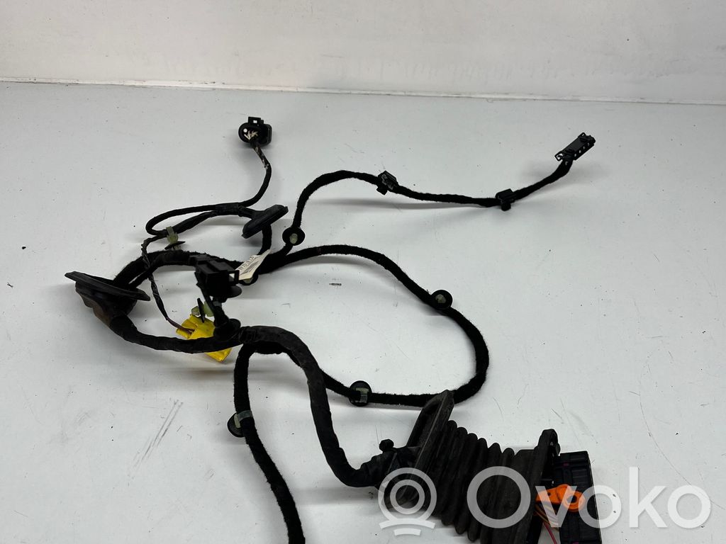 Volkswagen PASSAT B6 Cablaggio porta anteriore 