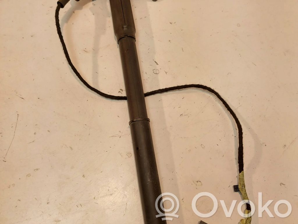 Tailgate strut   4887651