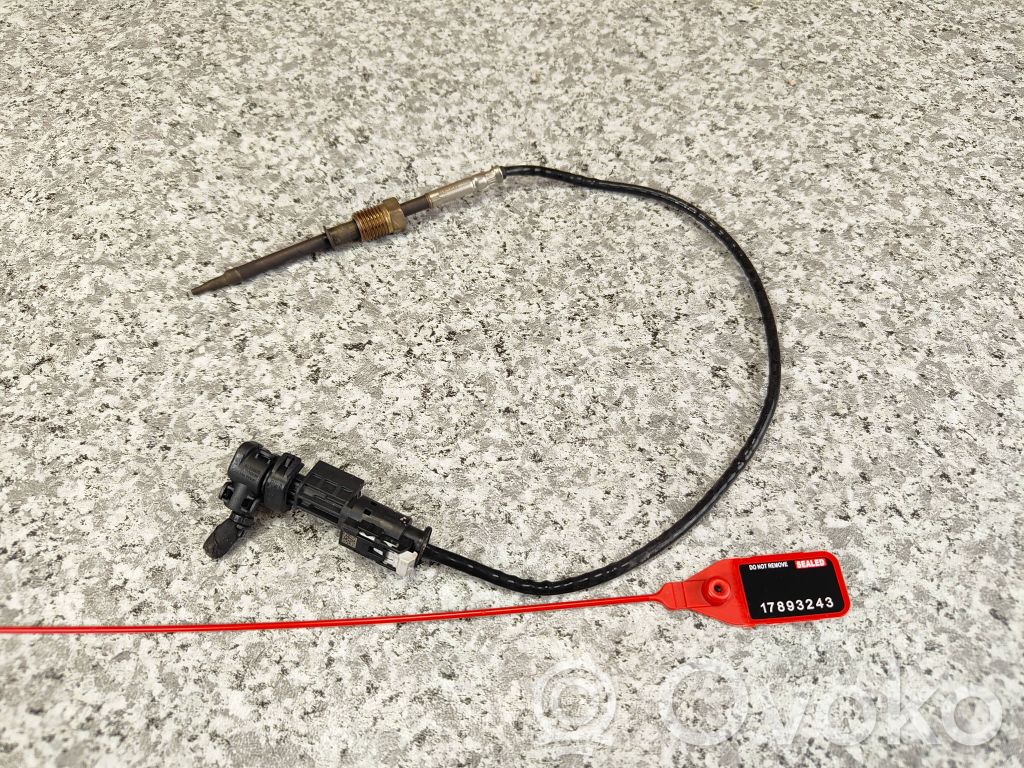 BMW 2 Active Tourer U06 Exhaust gas temperature sensor 