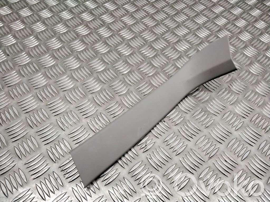 Tailgate/trunk side cover trim   7119054,52794510