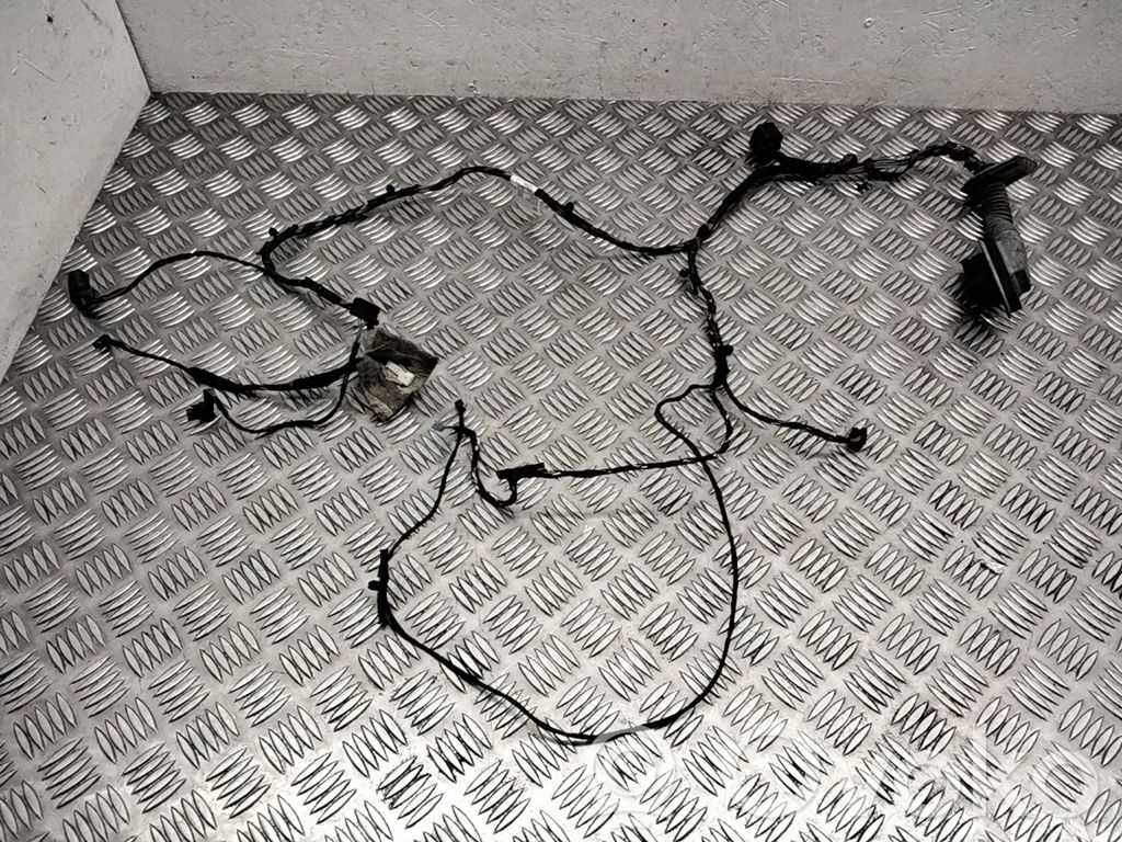 Cableado de puerta delantera   9229848,9203114,9187998