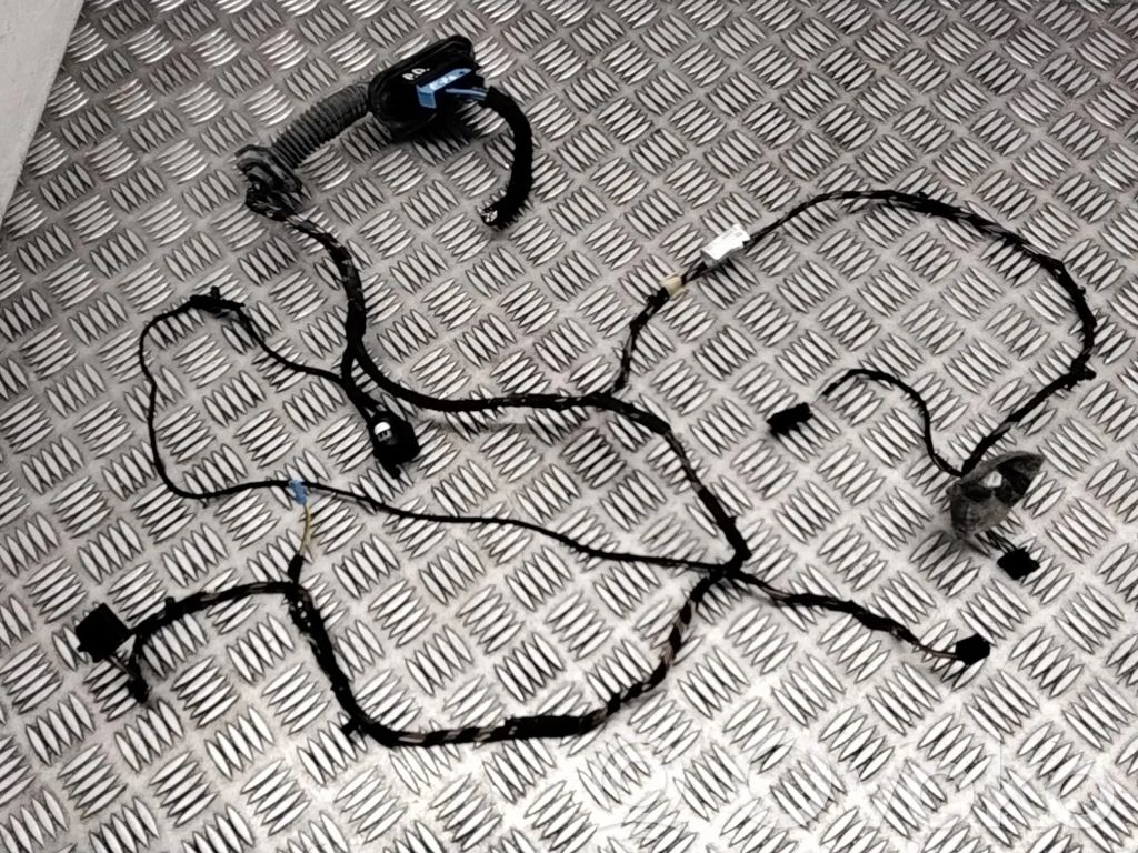 BMW X5 E70 Cableado de puerta delantera 