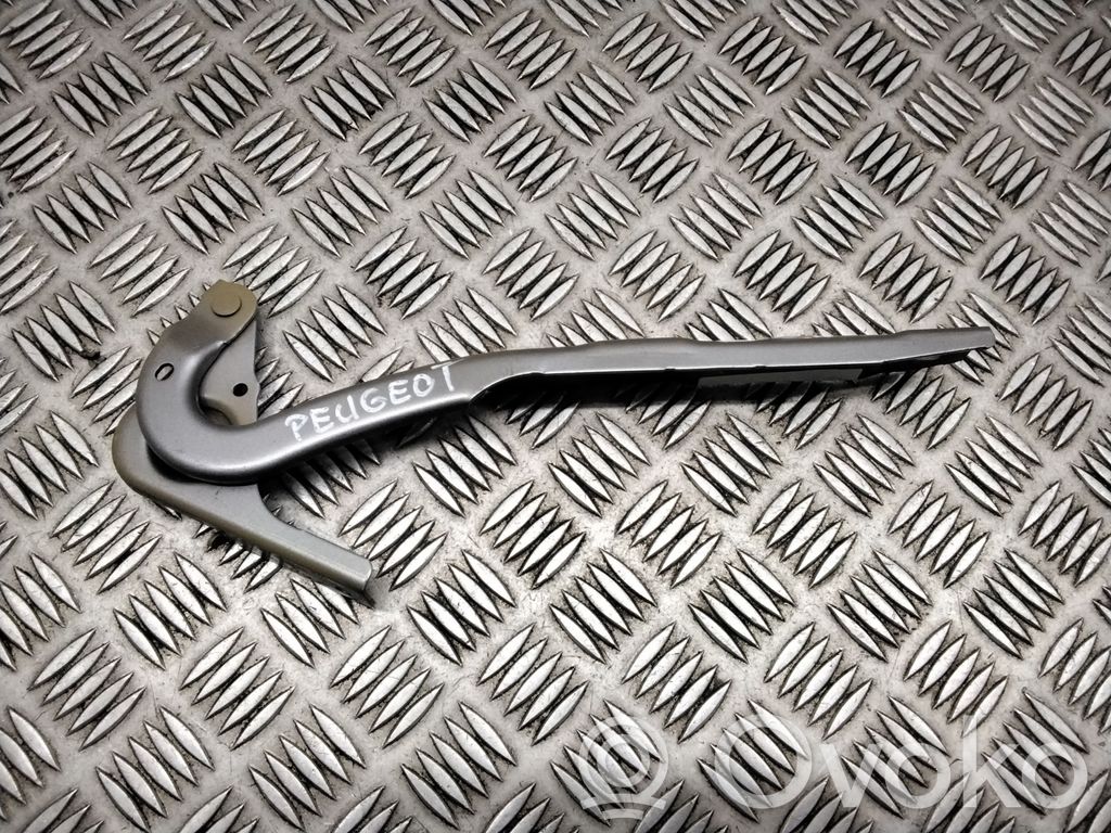 Peugeot Partner III Engine bonnet/hood hinges 