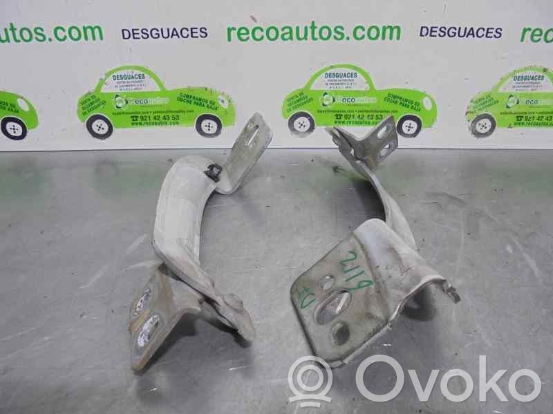 Renault Kangoo II Balamale capotă 