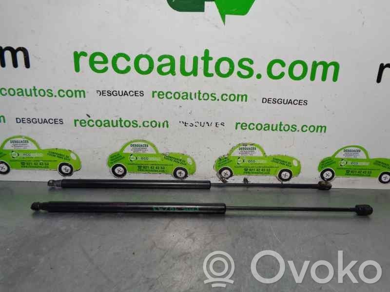 Mitsubishi Lancer X Amortiguador/puntal del maletero/compartimento de carga 