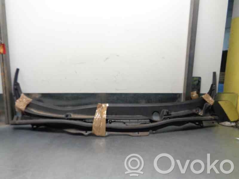 Windshield trim   DF71507S1