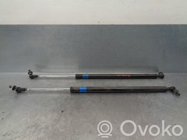 Subaru Outback Amortizatorius galinio dangčio 