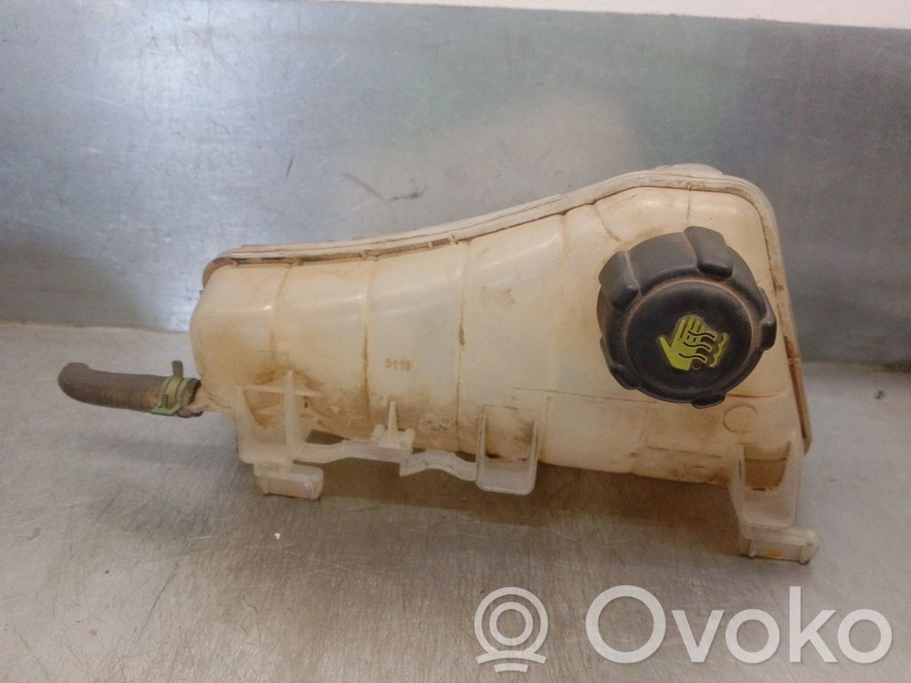 Renault Kangoo II Degvielas izplešanās tvertne 