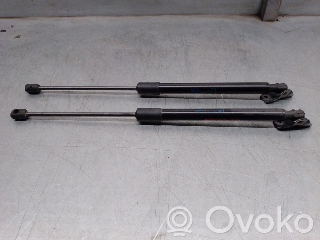 Citroen C3 Tailgate/trunk strut/damper 