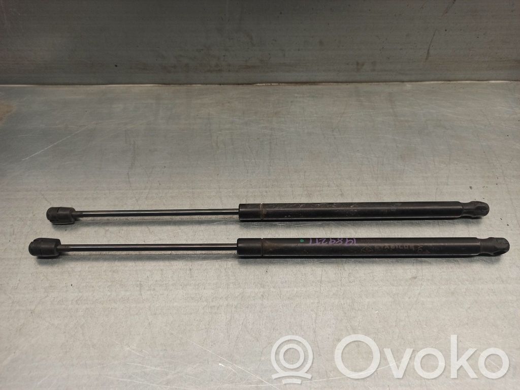 Dodge Caliber Tailgate/trunk strut/damper 