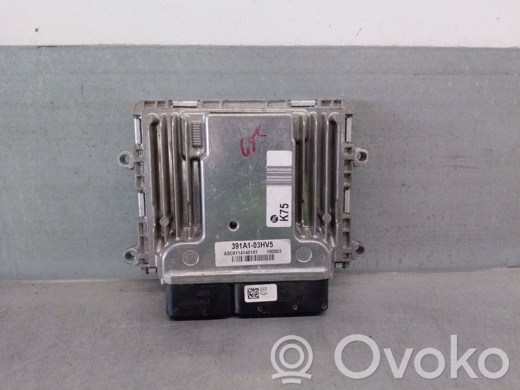 Hyundai Ioniq Engine control unit/module 