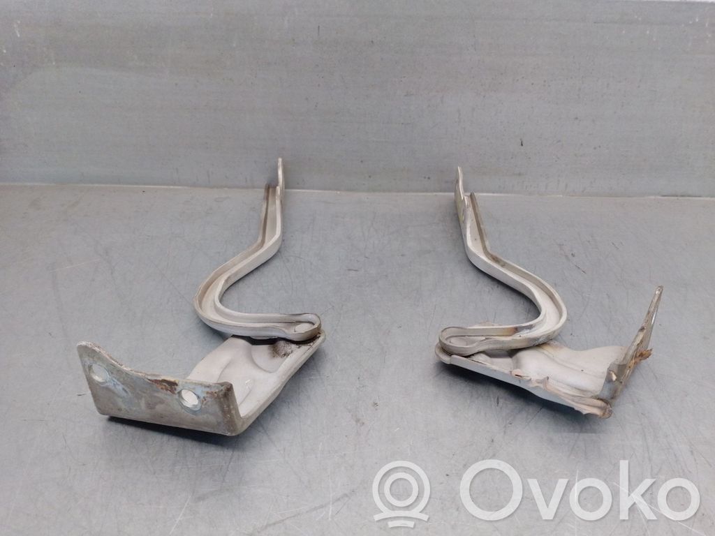 Tata Indica Vista I Engine bonnet/hood hinges 